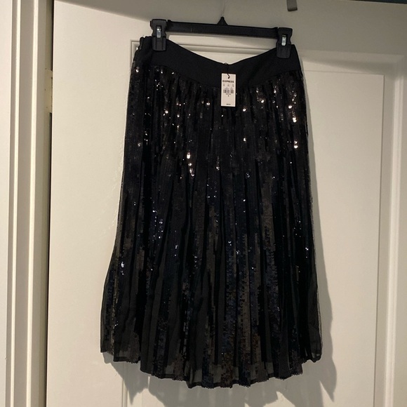 Beautif, sparkly chiffon skirt w/black sequins on pleats - Picture 1 of 3